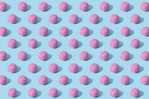 Understanding neuroeducation: definition, purpose, and importance