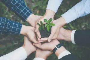 SMOWL’s social and environmental impact: 2024 goals and metrics